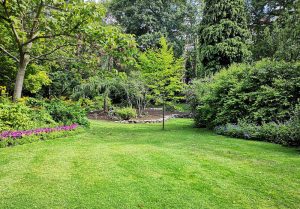 Optimiser l'expérience du jardin à Lescurry